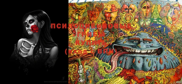 соль курить ск Гусев